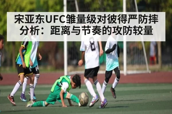 宋亚东UFC雏量级对彼得严防摔分析：距离与节奏的攻防较量
